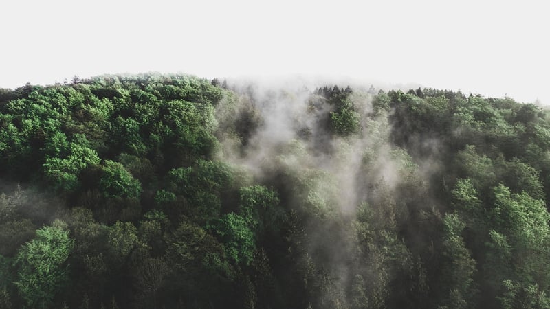 Mystical Realm